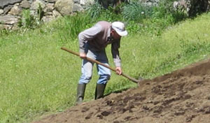 Le mani nella terra: no grazie!