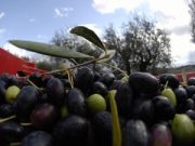 “Meno olio, ma molto più buono”