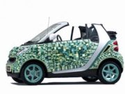 L’immondizia finisce in… mostra