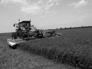 Quel campo è tutto da arare!