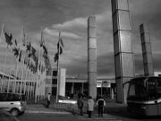 Tante società, troppe partecipazioni