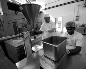 L’Alleanza fa... la cooperativa