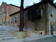 Con le radici in una grande storia