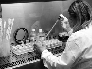 Cervelli in fuga dal “Belpaese”