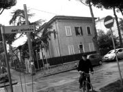 Un’Allodola non fa la… viabilità