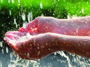 Custodire il creato, per coltivare la pace