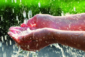 Custodire il creato, per coltivare la pace