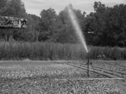 Quel Canale pronto… all’Uso