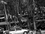 A caccia di parcheggi