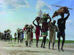 In fuga dalla guerra: destinazione Rimini