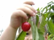 Terra e imprese in calo: piange l’agricoltura