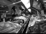 Quel… caro, buon gelato!