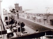 Camineda longa, dal 1972