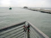 Nuovo porto? C’è un po’ di maretta