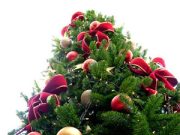 Breve storia dell’albero di Natale