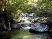 Intervento pronto… all’Uso