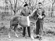 Una Principessa su quattro zoccoli