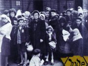 La visibilità acceca la conoscenza?