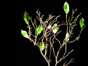 Verucchio e Pietracuta, teatri per vocazione