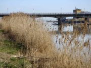 Noi, fiumi in pessime acque