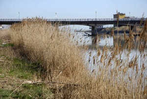 Noi, fiumi in pessime acque