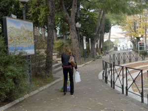 La politica mostra i muscoli