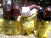 Buon Campo Lavoro fratelli riminesi!