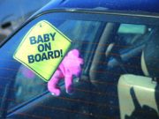 “Allacciate sempre i bambini alla vita”