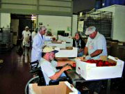 Il recupero che passa anche per le Case