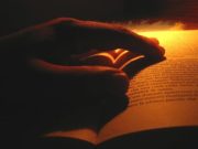 Le Collezioni del Museo Arcivescovile di Ravenna