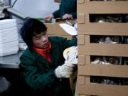 Migranti riminesi, sempre più soldi spediti in patria