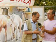 Da trentacinque anni sempre In Zir par la Rumagna