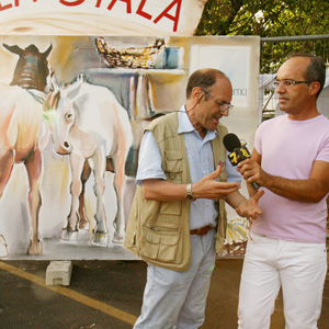 Da trentacinque anni sempre In Zir par la Rumagna