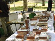 Il fumetto si rimbocca le maniche per l’Emilia