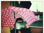 L’industria della cultura. Rubicone docet