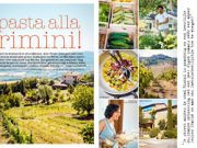 Quei Tulipani innamorati dell’entroterra riminese