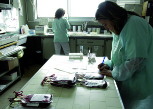 Aids, a Rimini l’incidenza è la più alta