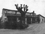 Rimini, “stelle” cadenti: un confronto tra ieri e oggi