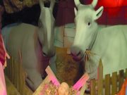 Seguendo la stella cometa. La magia del presepe