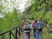 Fratello Sentiero e Sorella Strada