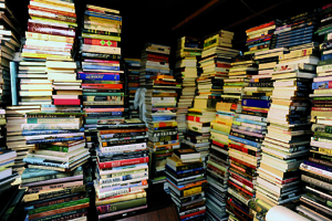 Rimini Web e il cimitero dei libri clementino