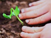 “Diciamo basta agli sprechi produttivi”