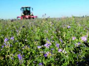 Le aziende aprono le porte per “coltivare” speranza