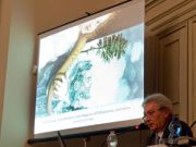 Visionario, umorista, manierista