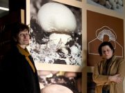 Quei funghi “rosa” e dagli occhi a mandorla