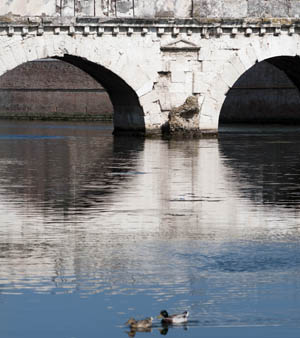 Tiberio, il bimillenario