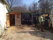 La crisi picchia: e a rimetterci sono cani e gatti