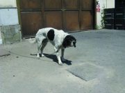 “Le altre Regioni prendano esempio”