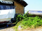 Mercato ittico… coi remi in barca