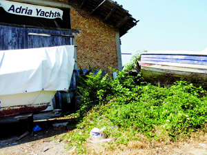 Mercato ittico... coi remi in barca